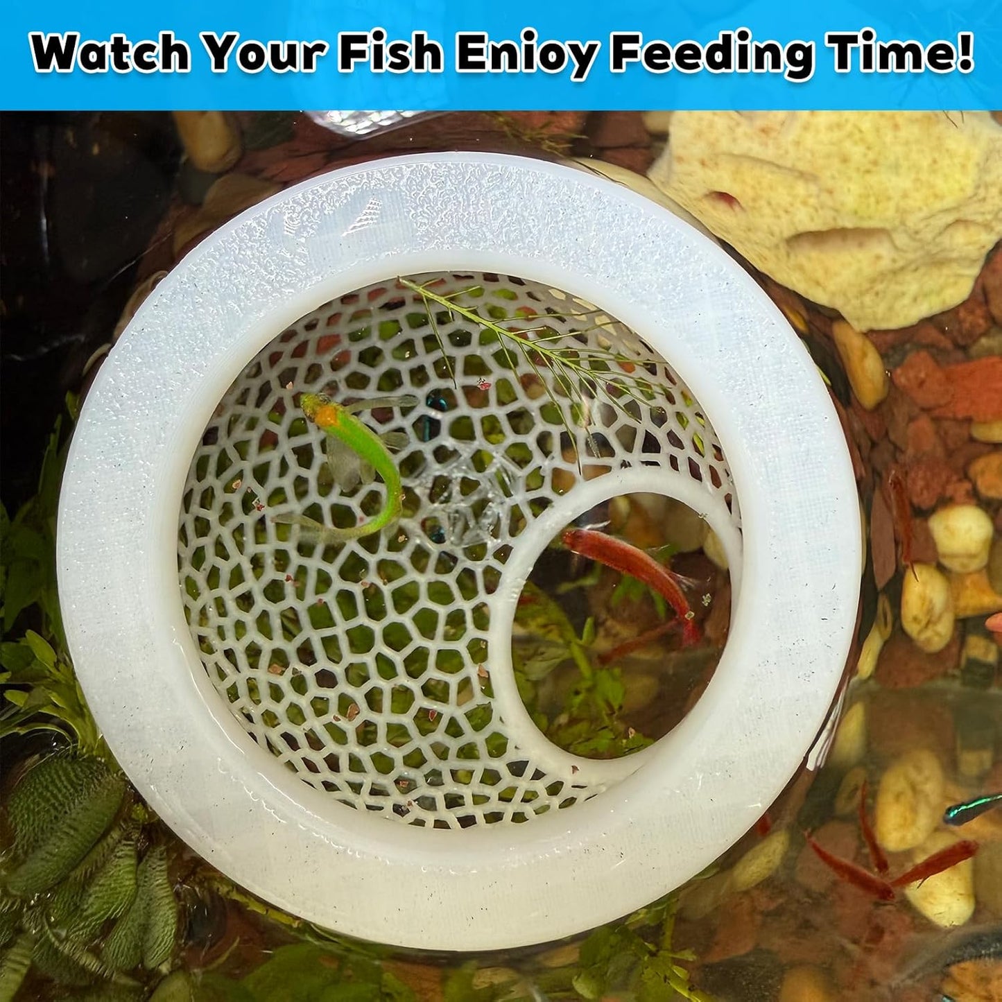 🐠 Aquarium Floating Betta Fish Skins