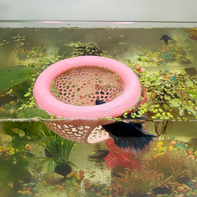 🐠 Aquarium Floating Betta Fish Skins