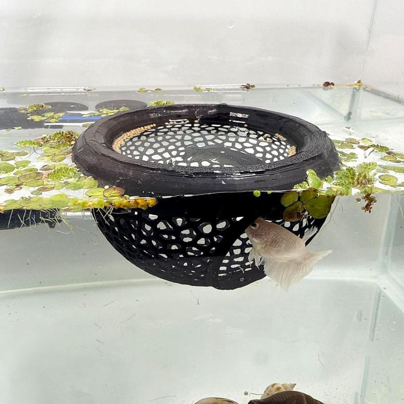 🐠 Aquarium Floating Betta Fish Skins